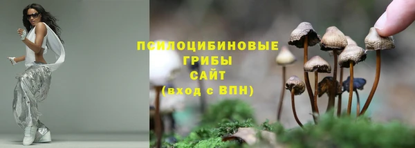 стаф Нягань