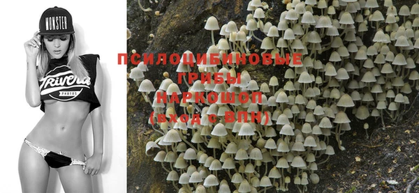 стаф Нягань