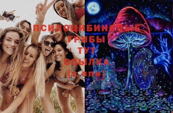 стаф Нягань