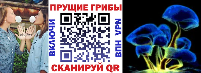 кракен рабочий сайт Семикаракорск Псилоцибиновые грибы Magic Shrooms